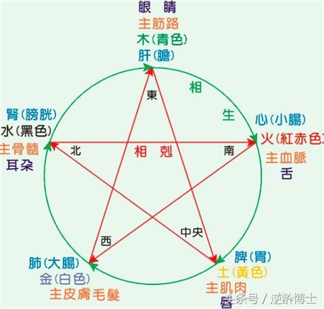 五行測驗|我的五行屬性